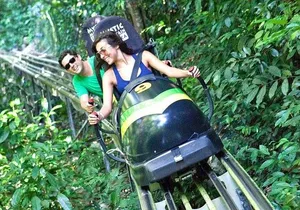Jamaica Bobsled & Dunn's River Falls Adventure Tour from Montego Bay