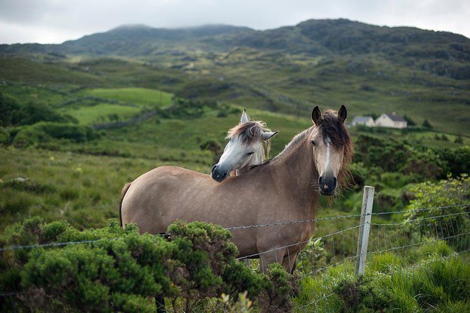 2-Day Connemara and Galway Bay Rail Tour from Dublin