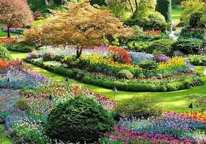 Vancouver, Victoria & Whistler 3 days in one Combo Tour.