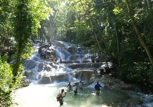 Private Tour to Dunns River and Horseback Riding with Local Guide