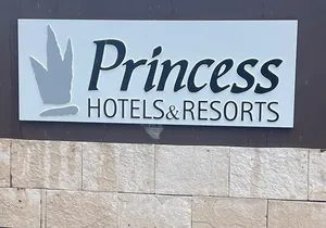 Princess Grand Jamaica Private Airport transfer