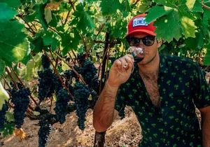 The Ultimate Wine Country Experience ( Private & All-Inclusive)