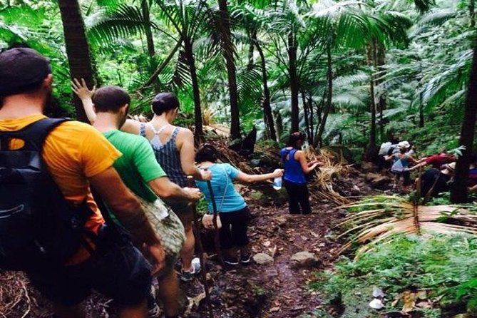 Hiking Mount Liamuiga Volcano in St Kitts