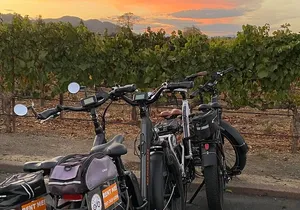 Full Day E-Bike Rental