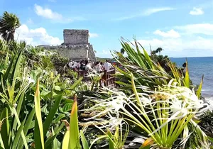 Tulum Express from Cancun and Riviera Maya