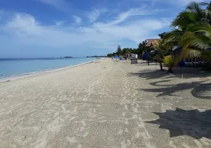 Negril 7 Miles Beach and Ricks Cafe Tour from Montego Bay
