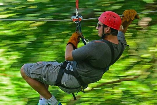 Zipline Canopy & Dunn's River Falls Tour with Admission from Grand Palladium