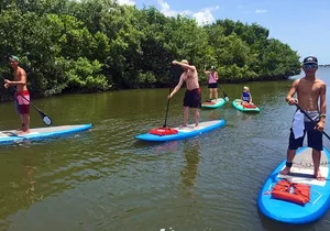 Full-Day Paddle Board Rental in Naples, Florida
