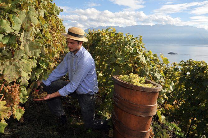 8 Days Private Authentic Sicily Tour