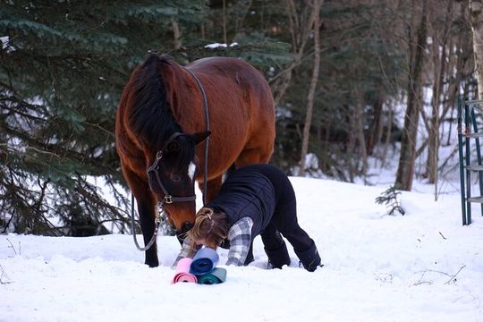 Yoga with Horses