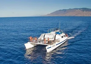 From Ma'alaea Harbor: Sunset Whale Watch Tour Aboard the Malolo