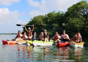 Kayak Activity in Nichupte Lagoon opt. Roundtrip transportation