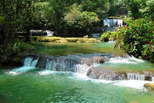 Canopy Countryside Private Day Trip Tour From Montego Bay