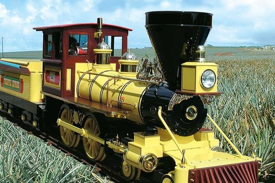 North Shore Haleiwa & Dole Plantation Tour (6.5 hrs)