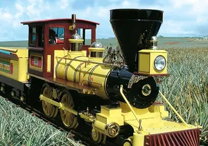 North Shore Haleiwa & Dole Plantation Tour (6.5 hrs)