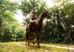 Horseback Riding with ATV, Zipline, Cenote and Tequila Tasting