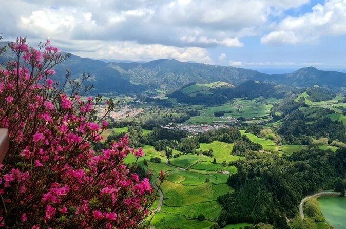 Furnas, tea plantation, Vila Franca Campo Private Full Day Tour