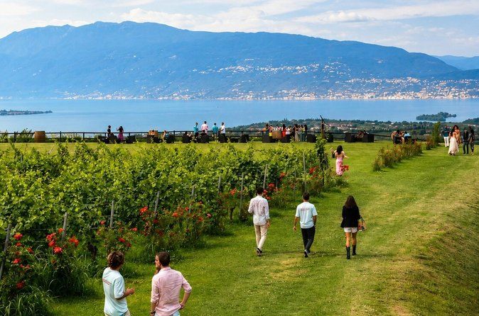 Wine tour and tasting of Valtenesi Wines in Salò