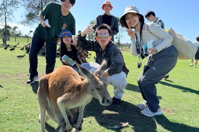 Newcastle: Port Stephens Dolphin Cruise & Wildlife Day Tour