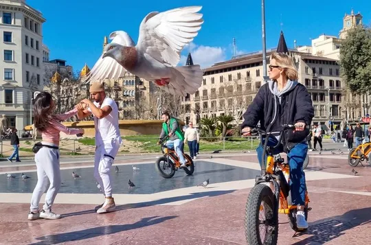 Barcelona Relaxed Bike Tour: City Highlights with E-Bike Option