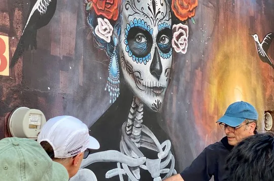 Street Art Tour With An Artist in Oaxaca