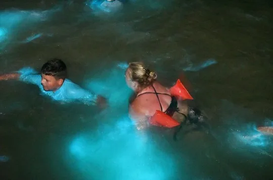 Bioluminescence Lagoon Tour from Montego Bay with Pick Up