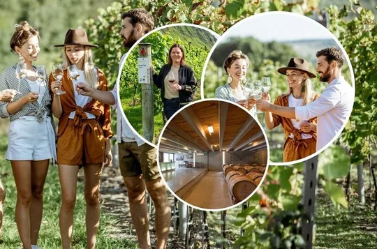 Queenstown Afternoon Wine Tour: Gibbston Valley | NZ Local Guide