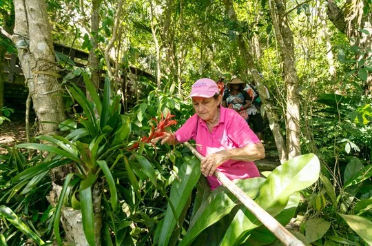 Nature and Sightseeing at Phantasea Tropical Botanical Garden