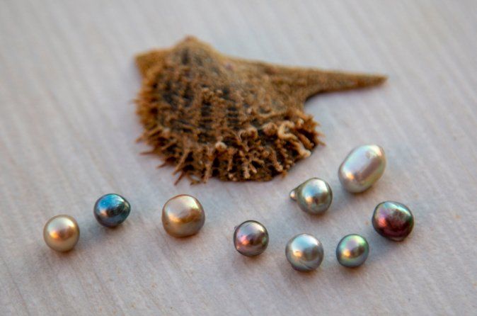La Paz: Pearl Farm Experience and shop