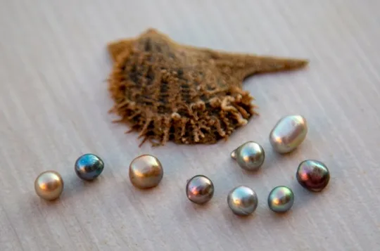 La Paz: Pearl Farm Experience and shop