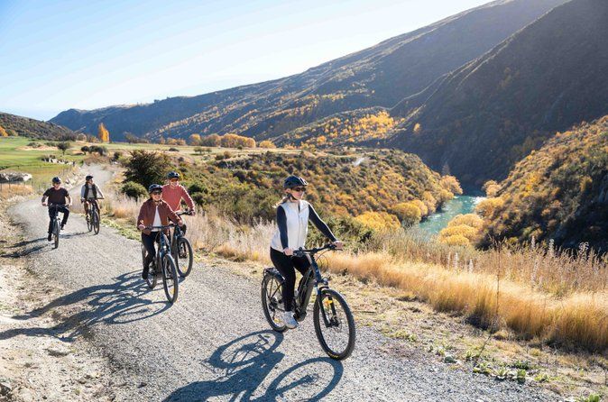 E-Bike Adventures Through the Wineries in Gibbston
