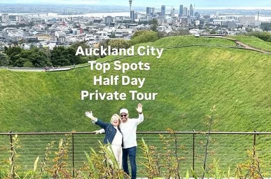 Auckland City Top Spots Half Day Private Tour
