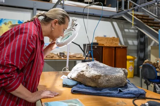 Australian Dinosaur Giants Tour