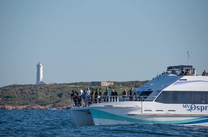Port Stephens: Wild Port Stephens Cruise