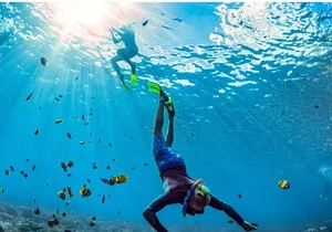 Snorkeling and Shopping Tour in Montego Bay with pick up