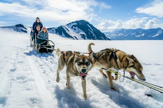 Seward: Helicopter Glacier Dogsled Tour with 2 Landings
