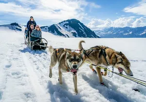 Helicopter Glacier Dogsled Tour + Bear Glacier Lagoon - Seward