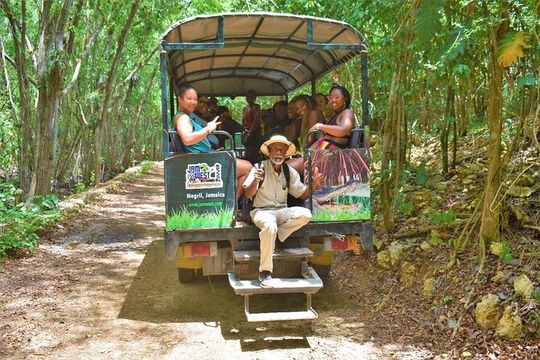 Caribbean Adventure Experience( Atv, Zipline, Horseback...)