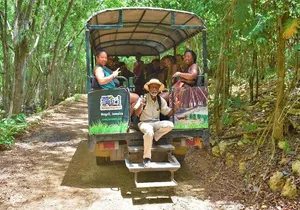 Caribbean Adventure Experience( Atv, Zipline, Horseback...)