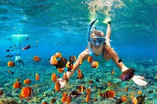 Snorkeling and Shopping Tour in Montego Bay with pick up