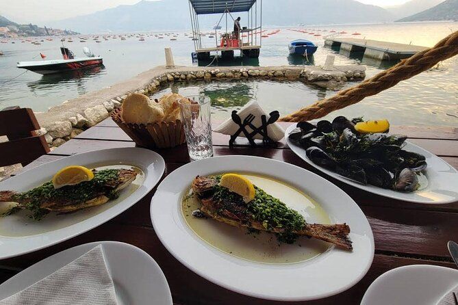 Port of Kotor - Kotor Bay tour with mussel farm experience