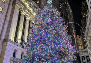NYC Holiday Lights Tour