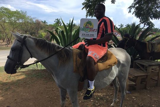 Transportation to Horse Back Ride & Swim Adventure from Ocho Rios