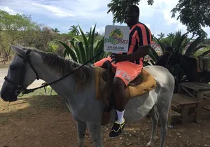 Transportation to Horse Back Ride & Swim Adventure from Ocho Rios