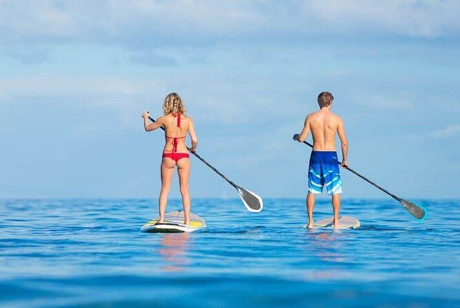 Ocean Sup and kayak tours