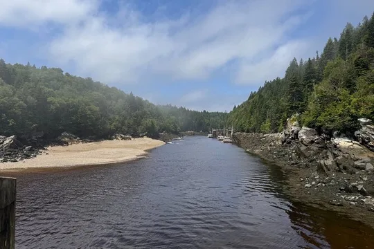 Exclusive Sightseeing Tour in Saint John