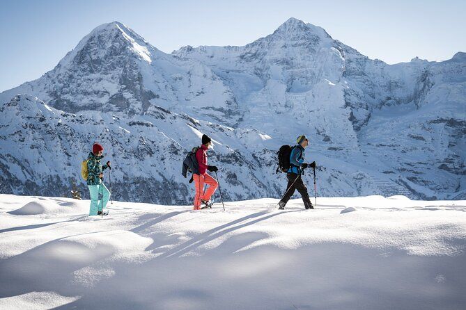 Snowshoe Adventure in the Swiss Alps