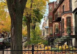 Montcalm & St. Jean Baptiste districts walking tour (2,5h)