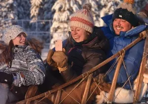 Sled Dog Sampler Ride in Fairbanks