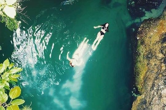 Blue Hole Mineral Spring and Herb Farm Private Tour